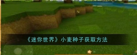 迷你世界元蛋怎么获得[图2]