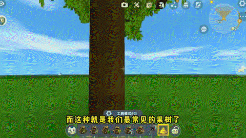 迷你世界中怎么种树[图1]